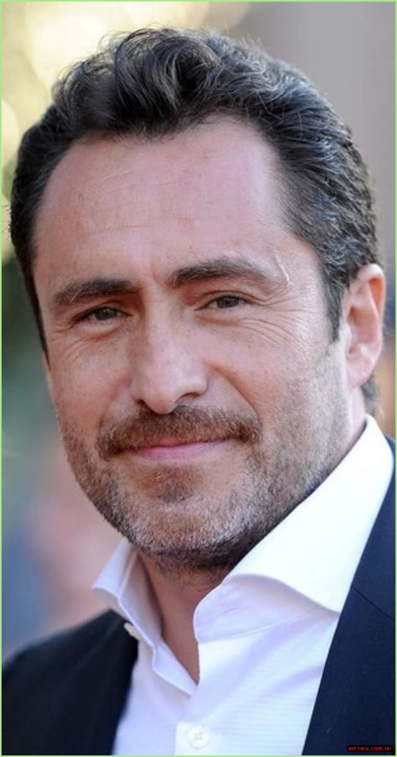 Demian Bichir: A Multifaceted Talent In The Film Industry