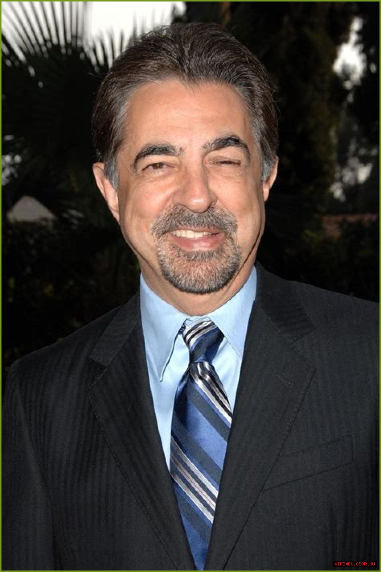 Exploring The Multifaceted Career Of Joe Mantegna: An Actor Beyond Compare