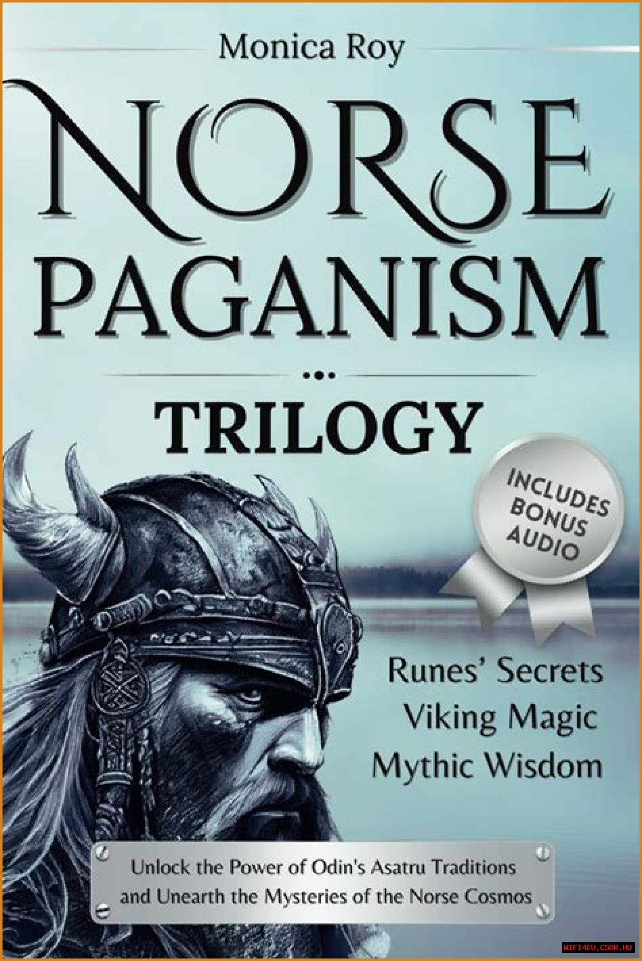 Norse Phrases: Unlocking The Wisdom Of The Vikings
