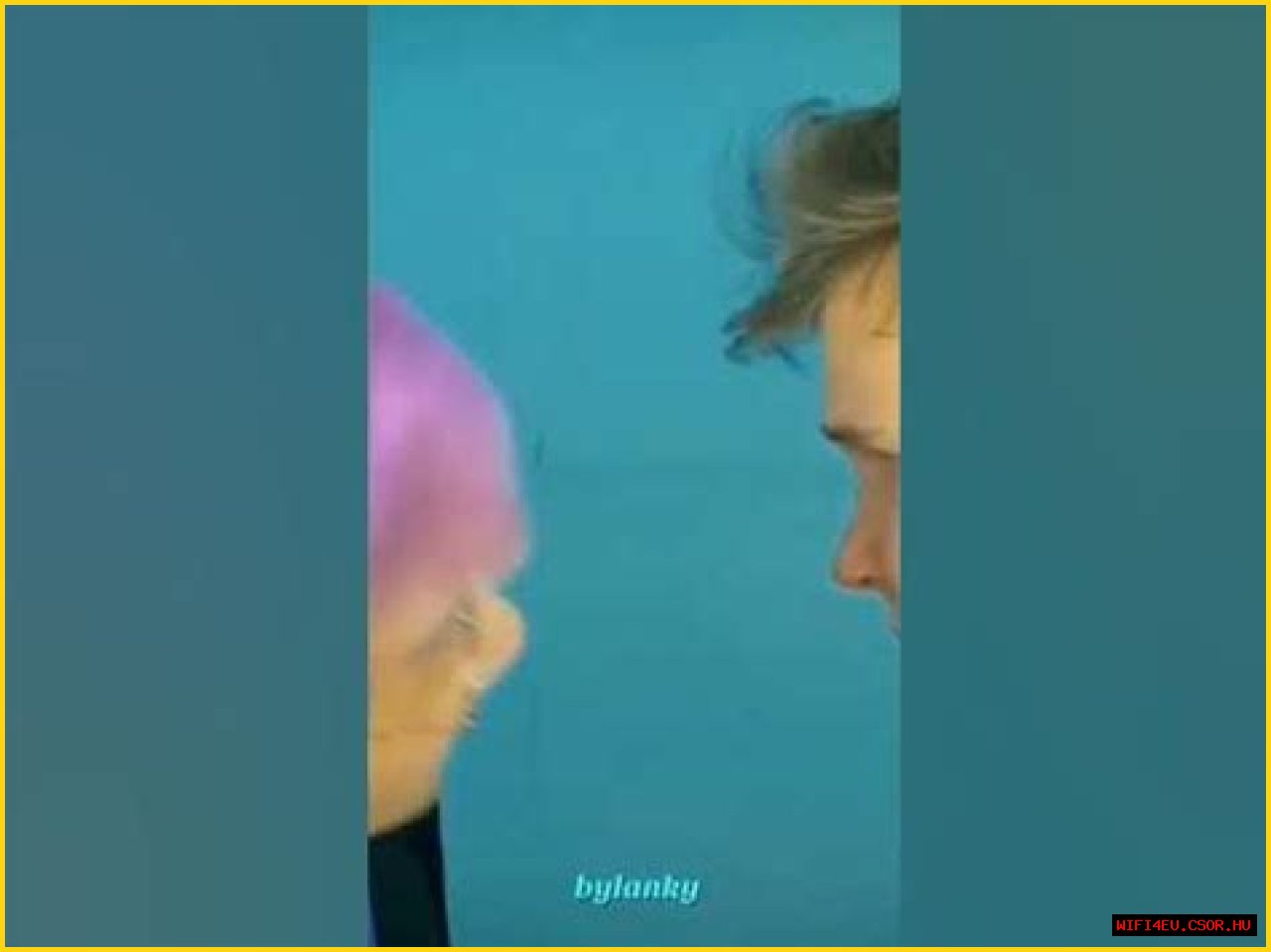 Unveiling The Truth: Is LankyBox Gay?